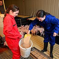 Impressionen vom Girls' Day 2025 auf dem Schweinehof Weiß im Kreis Bamberg