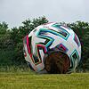 Adidas-Ball