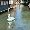 Ein Blickfang für Passanten und Touristen zwischen Hornschuchallee und Wiesentstraße: Das schwimmende Einhorn von Forchheim.