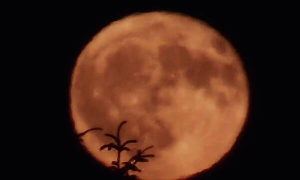 Erdbeermond über Steinbach am Wald