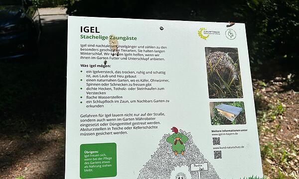 Zeigen, wie leicht Naturschutz sein kann: Contakt-Garten in Coburg eröffnet