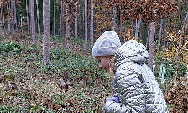 Die Natur als Klassenzimmer: Schüler der Mittelschule Scheßlitz bei der Waldaktion.