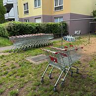 Diese Ansammlung an Einkaufswägen hat unser Redakteur per Zufall in Forchheim entdeckt.