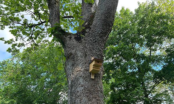 Der neue Contakt-Garten in Coburg soll Lust auf Umwelt- und Naturschutz machen.