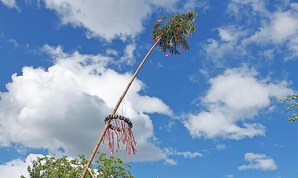 Der Kirchweihbaum wird in die Senkrechte gebracht.